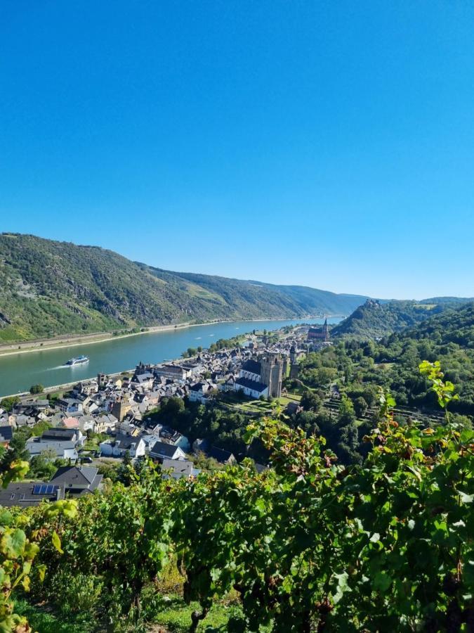 Fewo Loreley Санкт-Гоар Экстерьер фото